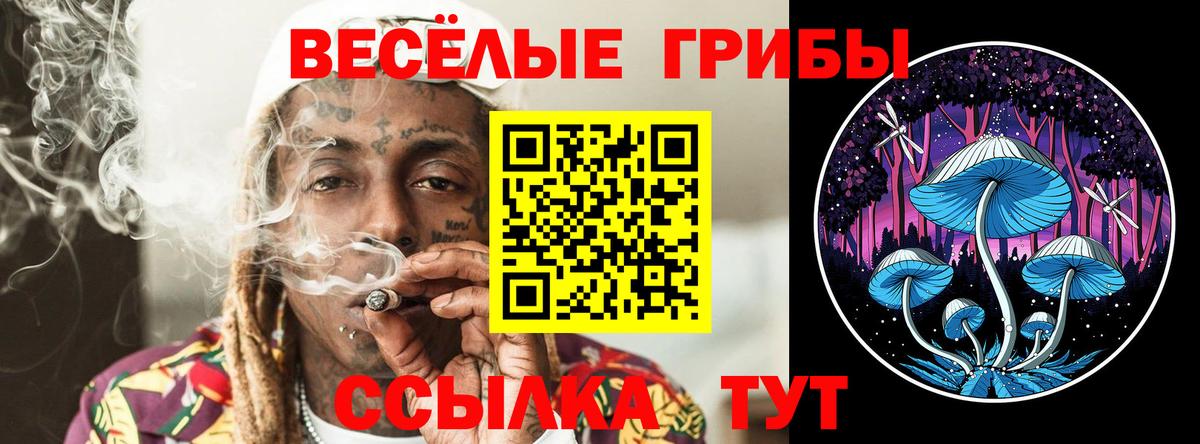 магазин    Вход с VPN  Галлюциногенные грибы GOLDEN TEACHER  Раменское  Галлюциногенные грибы GOLDEN TEACHER 