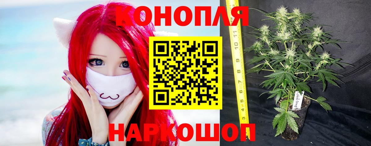 Конопля план Раменское